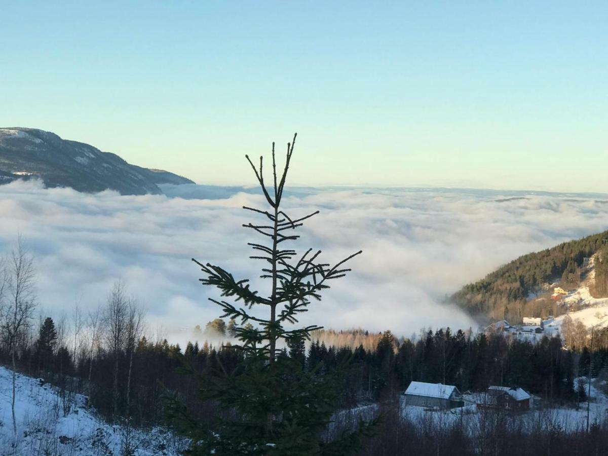Luxury Mountain Villa Strandlykkja Luaran gambar